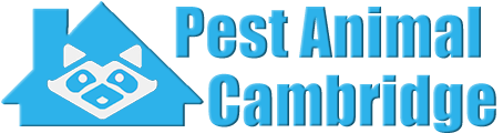 Cambridge Wildlife and Animal Removal